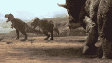 Triceratops Challenging GIF