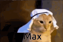 Max GIF - Max GIFs
