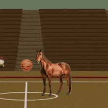 Basket Balls Horse Balling GIF - Basket Balls Horse Balling Basket Ballin Horse GIFs