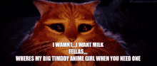 a cat with a caption that says " i want milk fellas "