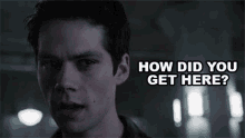 How Did You Get Here Stiles Stilinski GIF - How Did You Get Here Stiles Stilinski Dylan Obrien GIFs