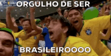 Sou Brasileiro E Não Desisto Nunca / Orgulho Brasileiro / Copa Do Mundo / Taça GIF