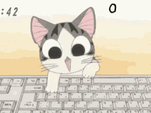 Anime Cat GIF - Anime Cat Typing GIFs