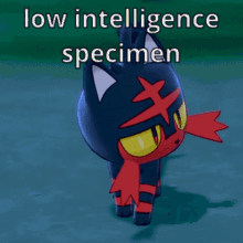 Litten Pokemon GIF - Litten Pokemon Low Intelligence Specimen GIFs