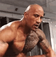 the rock dwayne johnson bodybuilder bodybuilding muscles