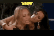 woman screaming cat meme meow meow meow bitch