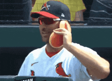 a man in a cardinals jersey is holding a hot dog in his hand