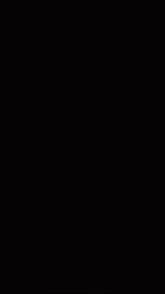 a close up of a fire flame on a black background .