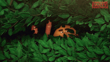 a poster for sausage party food truck shows a sausage and a tomato hiding in the leaves