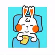 snack rabbit