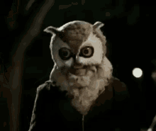 Owl Happy GIF