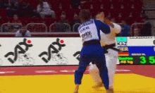 judo martial
