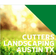 Landscape Designer Austin GIF - Landscape Designer Austin GIFs