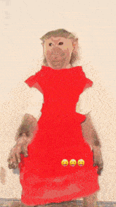 a monkey is wearing a red dress with three smiley faces on the bottom