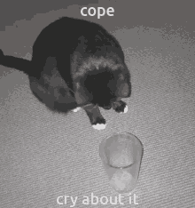 Cry About It Cope Cope GIF