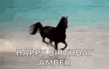 Horse Happy Birthday Amber GIF - Horse Happy Birthday Amber Running Horse GIFs
