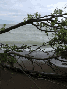 Lake Erie Water GIF - Lake Erie Water Shore GIFs