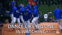 cubs dance dance like no one is watching happy cubs