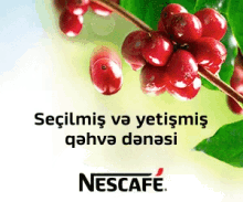 Nescafe GIF - Nescafe GIFs