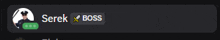 a picture of a man with the name serek x boss on it