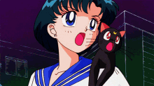 Sailor Mercury Cat Moon GIF - Sailor Mercury Cat Moon GIFs