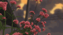 Aesthetic Flowers GIF