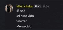 a screenshot of a conversation with niki chabe