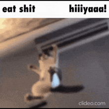 a cat is hanging from a ceiling with the words `` eat shit , hiiiyaaa ! ''