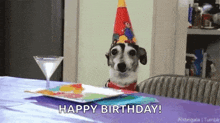 Dogs Happy Birthday GIF - Dogs Happy Birthday Dog Ears GIFs