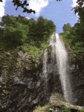 a waterfall is surrounded by trees and rocks