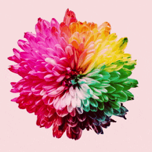 Feliz Abril Flor Colored GIF - Feliz Abril Flor Colored GIFs