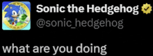 What Are You Doing Sonic GIF