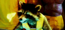 guardians of the galaxy racoon rocket snikking laughing