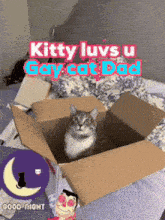 a cat sitting in a cardboard box with the words kitty luvs u gay cat dad