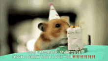 Cheese Cake Happy Birthday GIF - Cheese Cake Happy Birthday Mouse GIFs