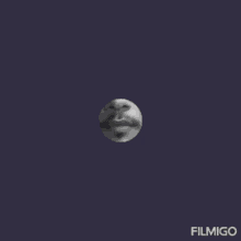 a man with a beard is in a circle with the word filmigo on it