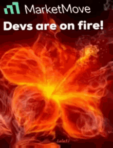 Devs Fire GIF - Devs Fire Marketmove GIFs
