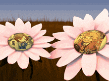 two pink daisies with buttons on them one of which has a picture of a man in a suit on it