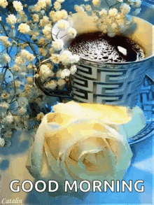 Coffee Flower GIF - Coffee Flower White GIFs
