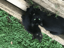 Mommy And Baby GIF
