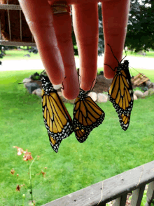 Releasing Butterflies GIF - Releasing Butterflies GIFs