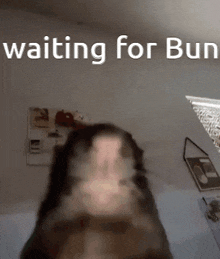 Bun Waiting GIF