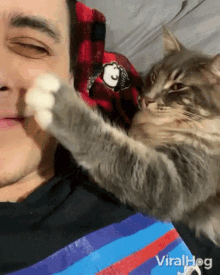 Petting Viralhog GIF - Petting Viralhog Cat GIFs
