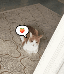 Cat Peach GIF - Cat Peach Cat Meme GIFs