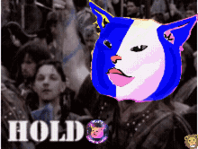 Hold Hodl GIF - Hold Hodl Pussy Financial GIFs