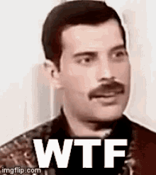 Wtf What The GIF - Wtf What The Freddie GIFs