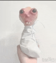 a person is holding a puppet that looks like a baby wrapped in a blanket .