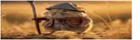 a hamster wearing a hat and holding a hammer is walking in the dirt .