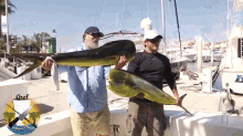Sneaky Sea Lion Steals Fish Out Of Fisherman'S Hands GIF - Sealion Sneaky Steal GIFs