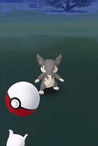 Rattata-pokemongo-pokeball GIFs - Get the best GIF on GIPHY